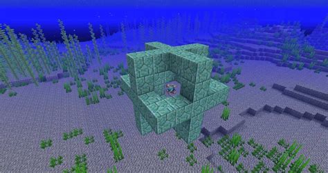 As for the nautilus shell, you can get it by killing drowned or even buy it from Wandering Traders for 5 emeralds. . Nautilus shell minecraft use